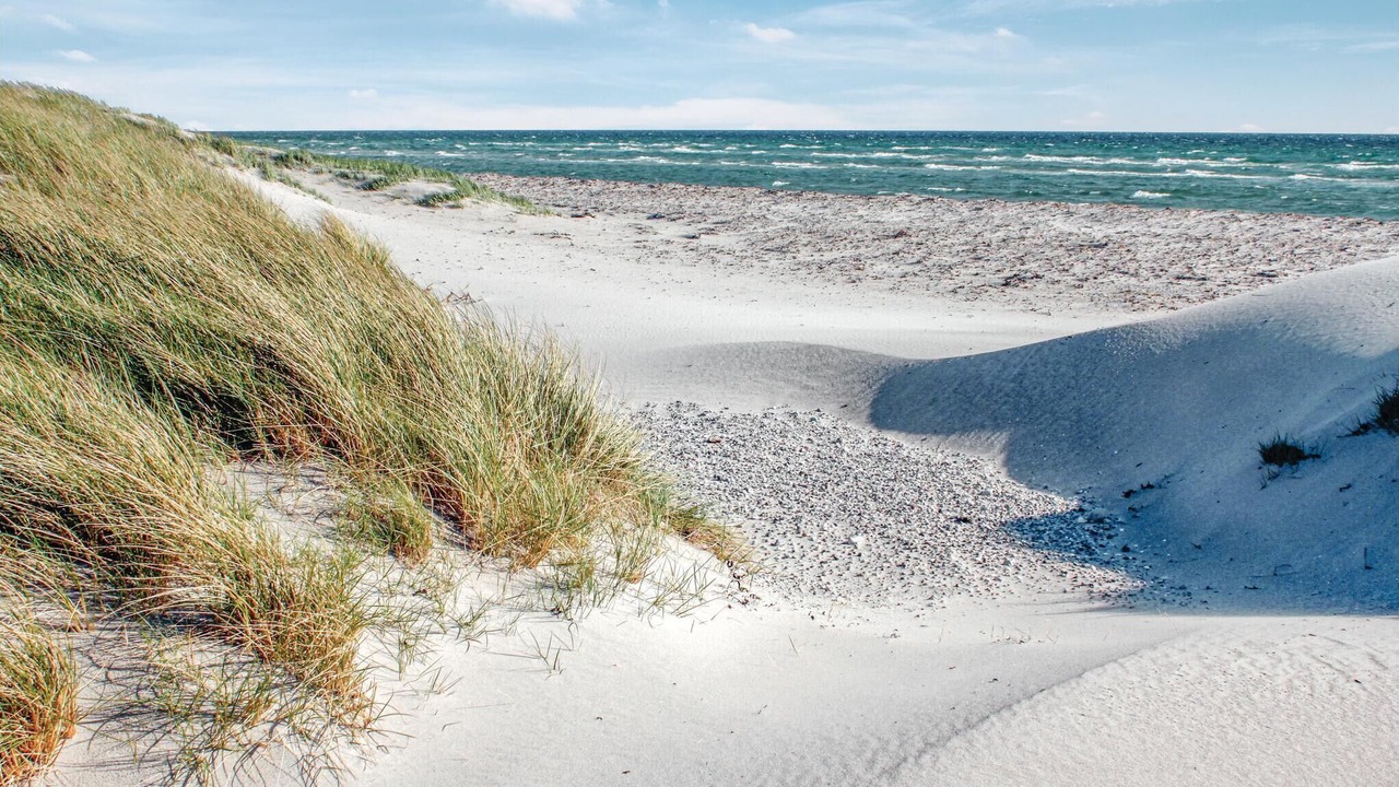 Photo of Others in Øer Strand