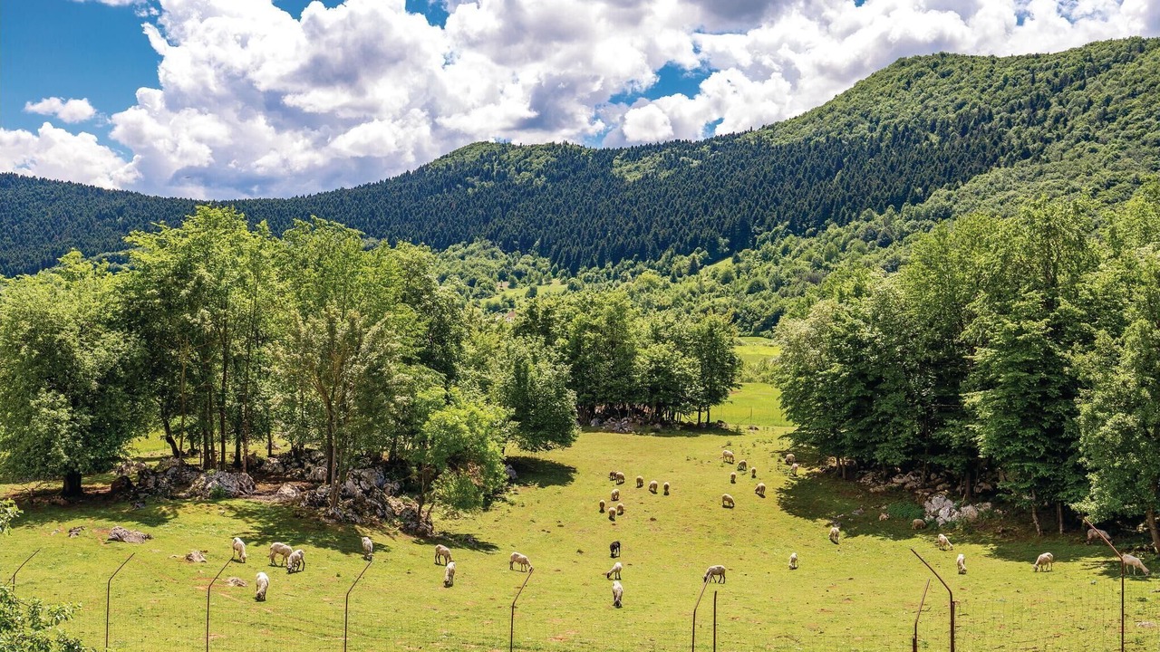 Photo of Outdoor in Otocac