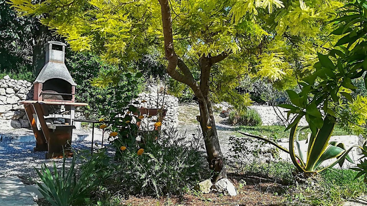 Photo of Others in Vinisce
