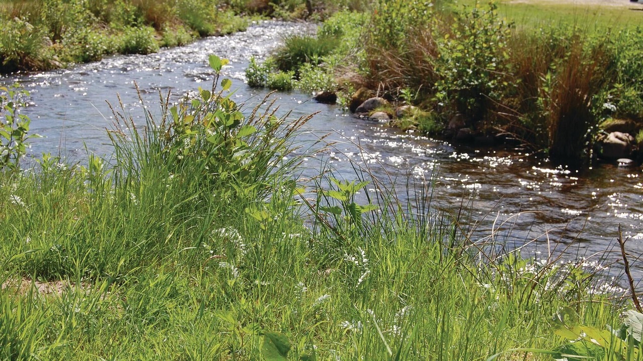 Photo of Others in Krejbjerg