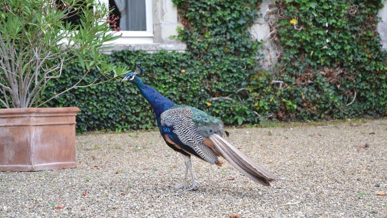 Photo of Others in Chenille-Change