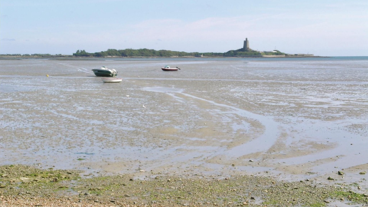 Photo of Others in Quettehou