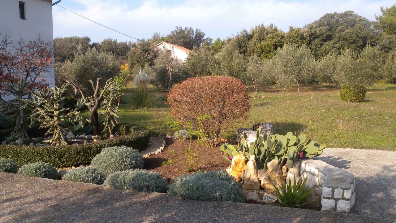 Photo of Outdoor in Suha Punta