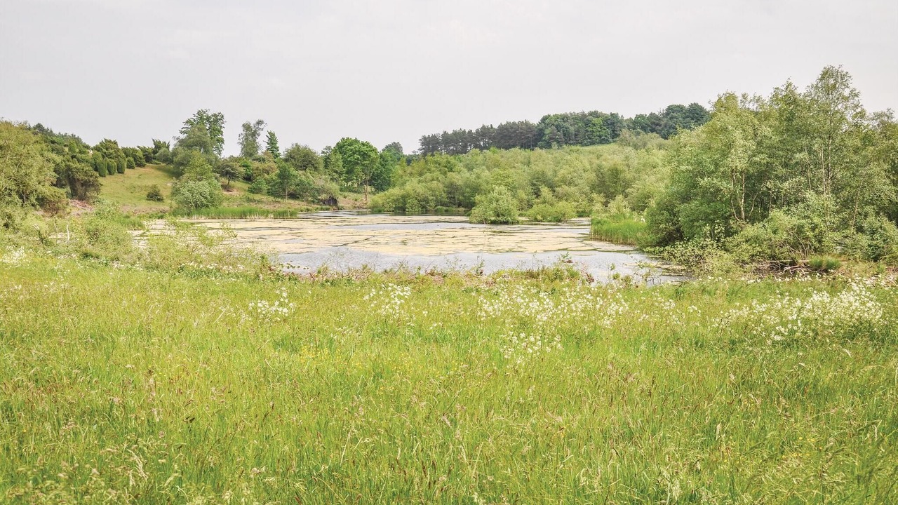 Photo of Bedroom in Faaborg