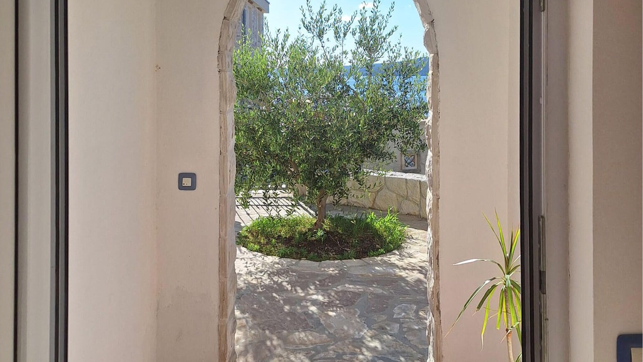 Photo of Others in Novigrad