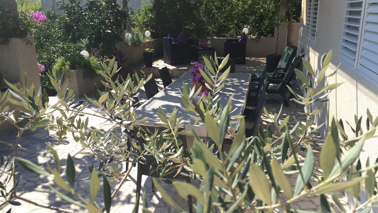 Photo of Outdoor in Orebic