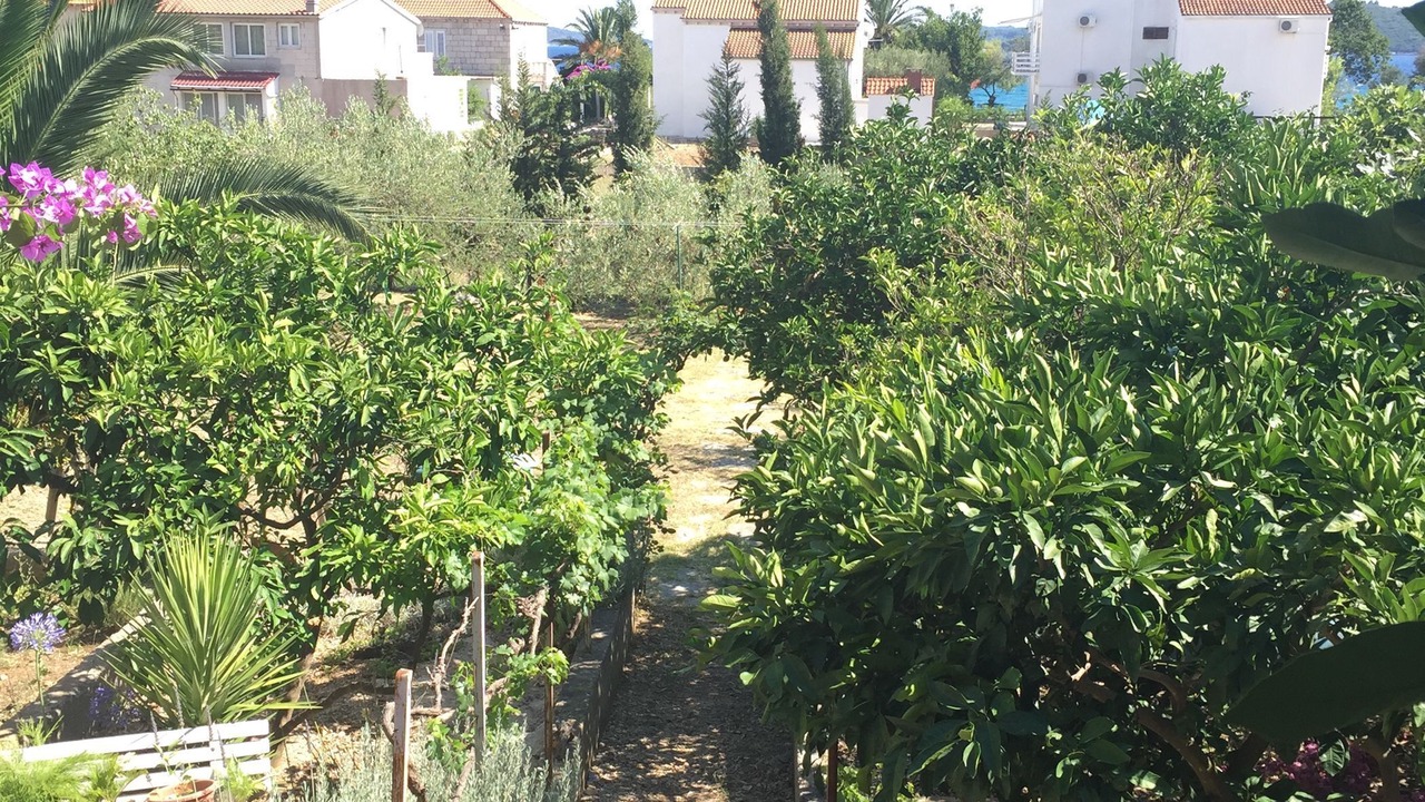 Photo of Outdoor in Orebic