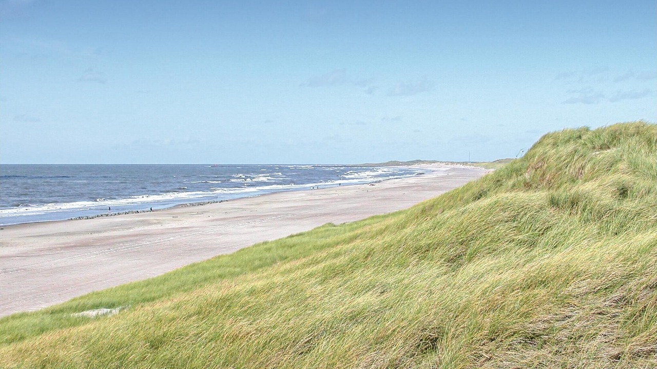 Photo of Others in Hvide Sande