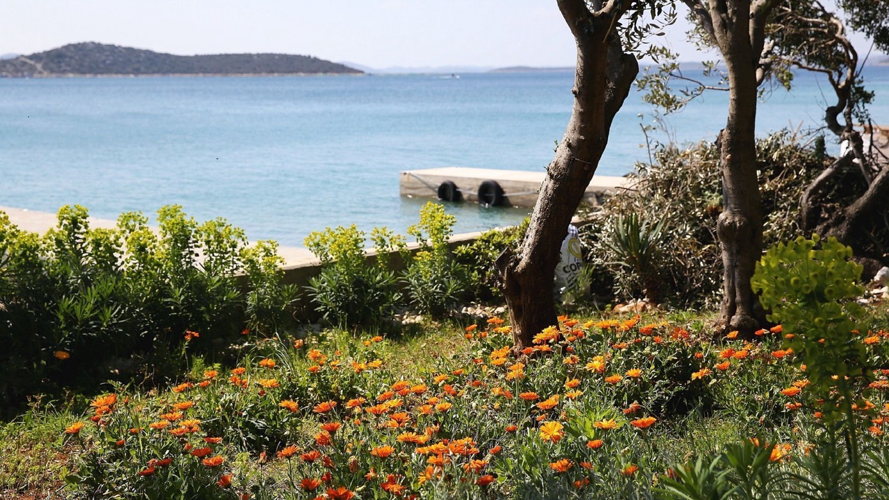 Photo of Outdoor in Tkon
