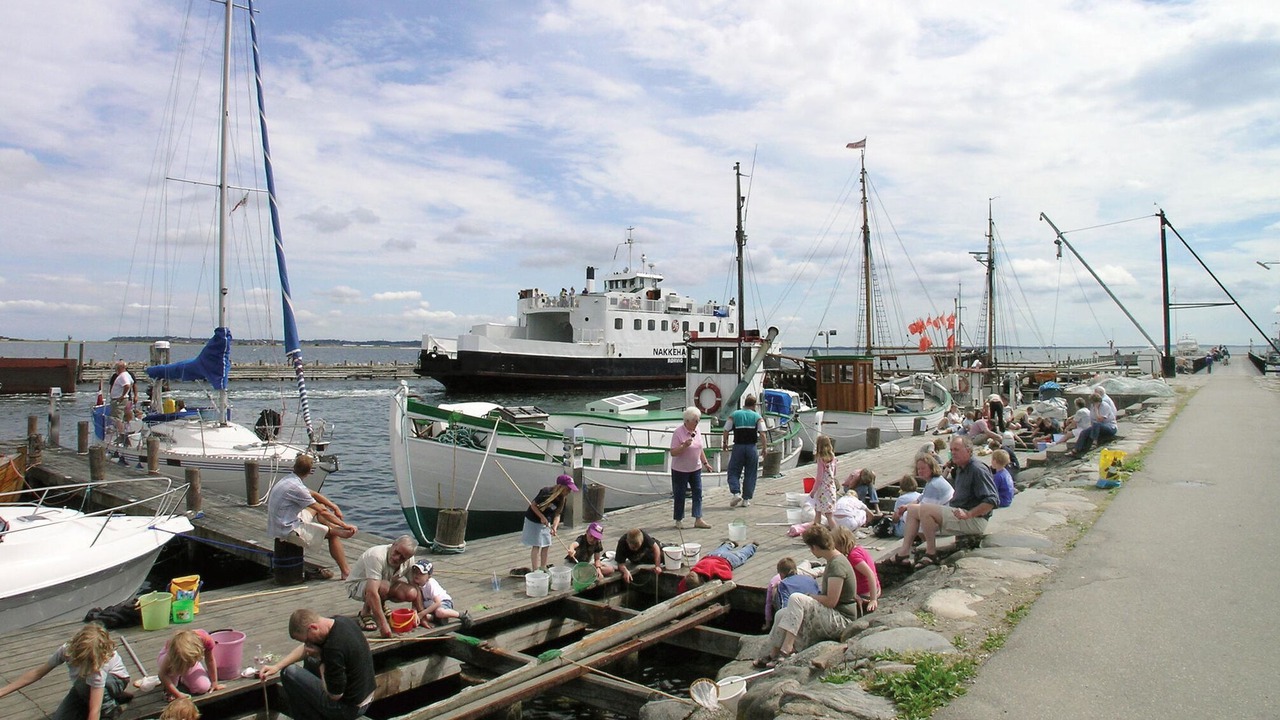 Photo of Others in Rrvig