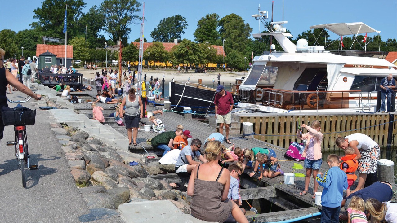 Photo of Others in Rrvig