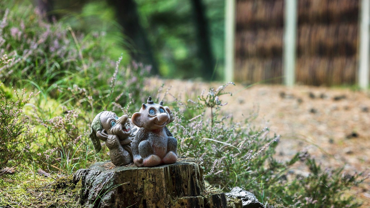 Photo of Others in Spidsegard