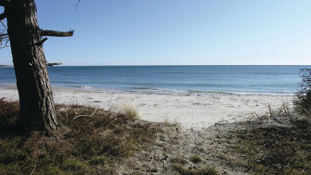 Photo of Others in Spidsegard