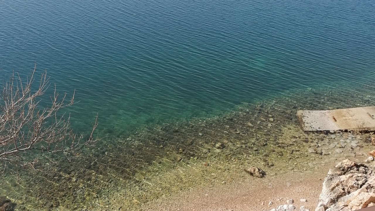 Photo of Others in Baric Draga