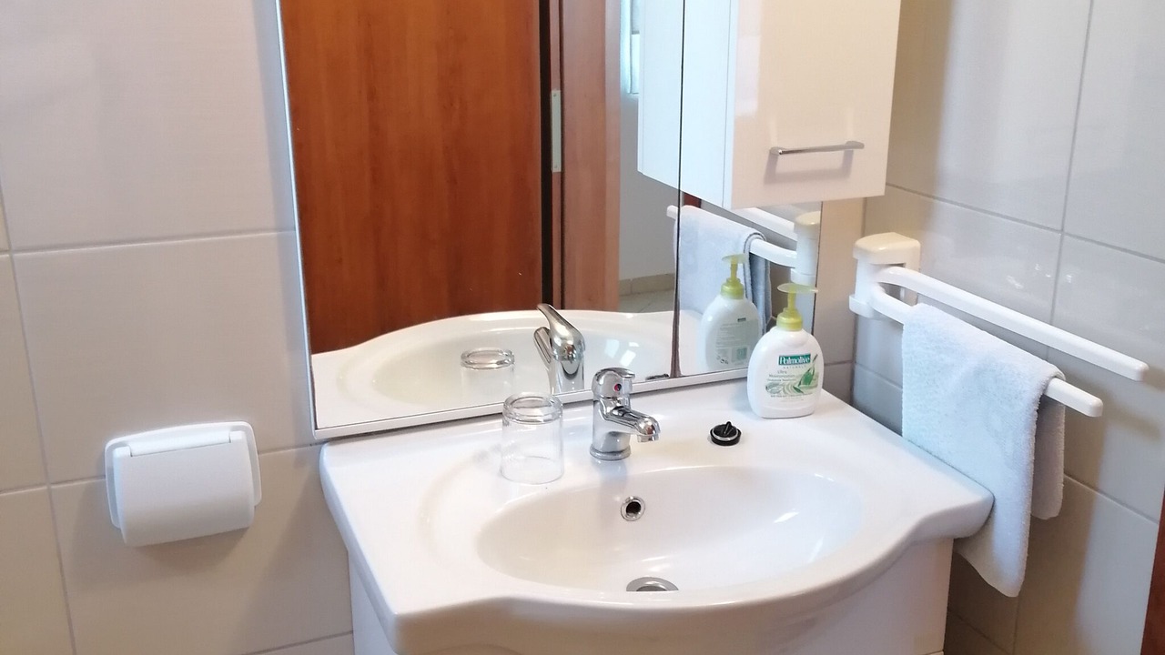 Photo of Bathroom in Baric Draga