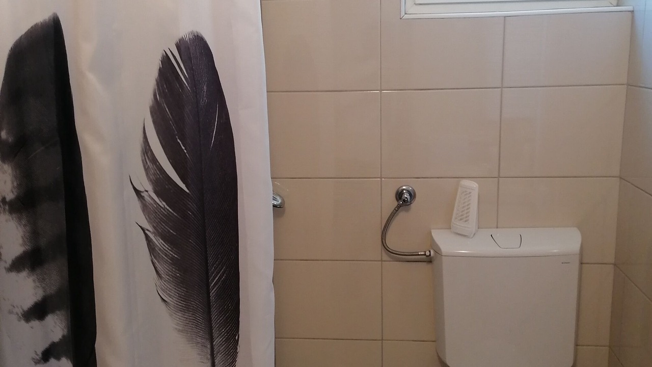 Photo of Bathroom in Baric Draga