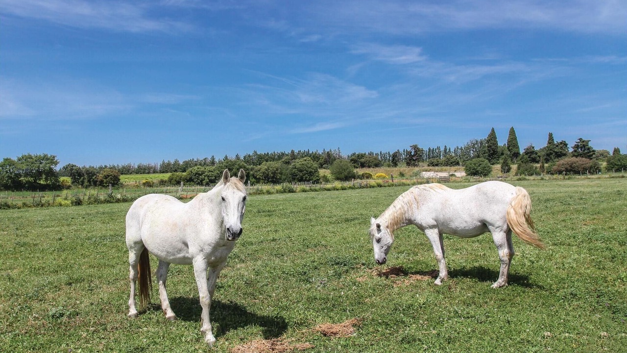Photo of Others in Beauvoisin