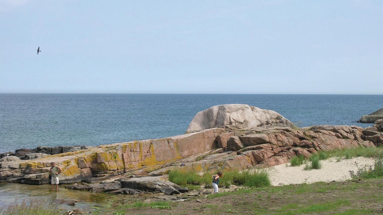 Photo of Others in Sandvig