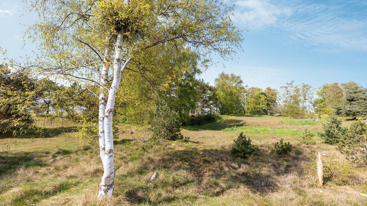 Photo of Others in Pedersker