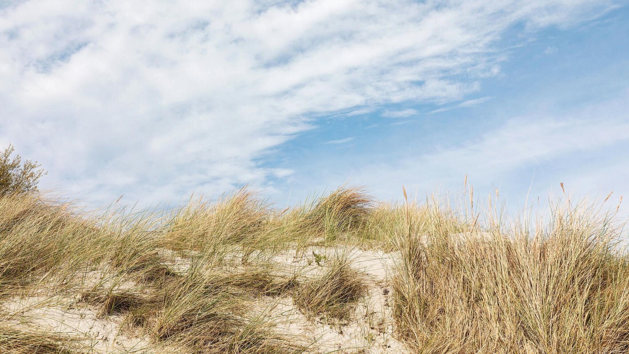 Photo of Others in Pedersker