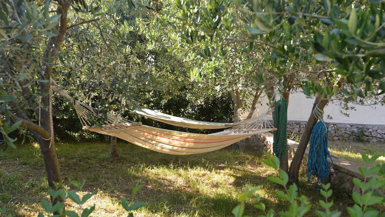 Photo of Outdoor in Cove Murtar