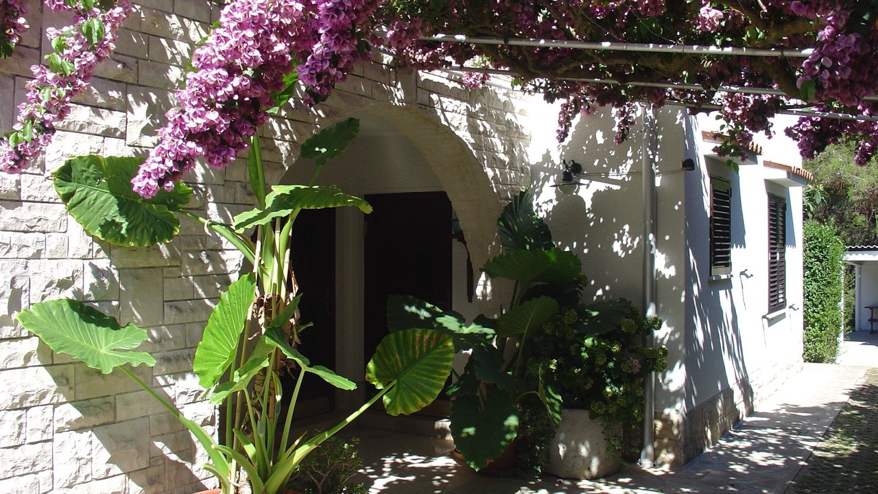 Photo of Outdoor in Cove Murtar