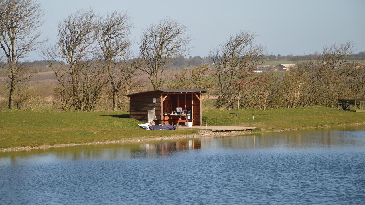 Photo of Others in Trend