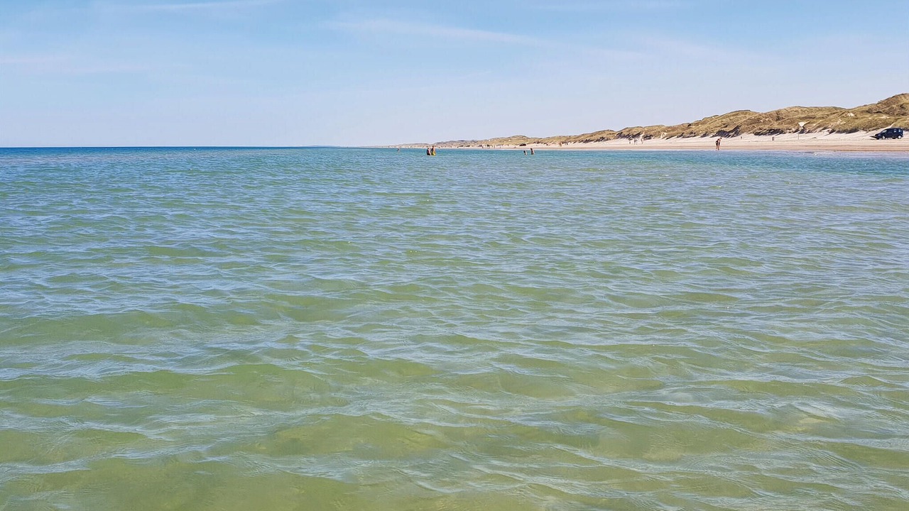 Photo of Others in Blokhus