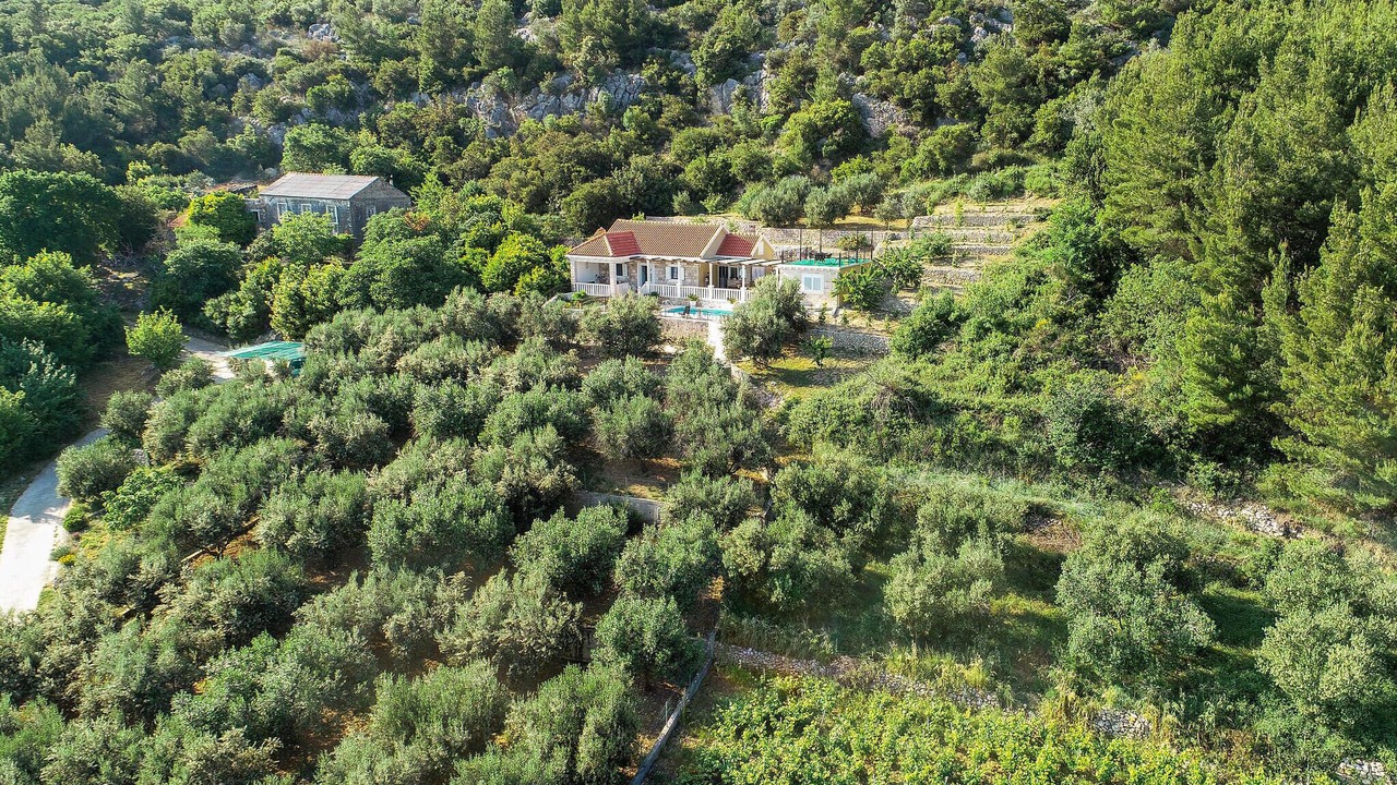Photo of Outdoor in Orebic