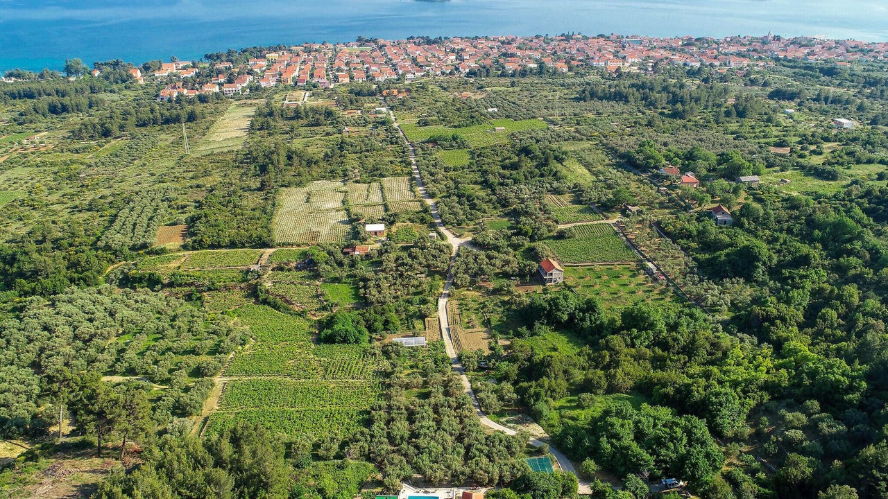 Photo of Outdoor in Orebic