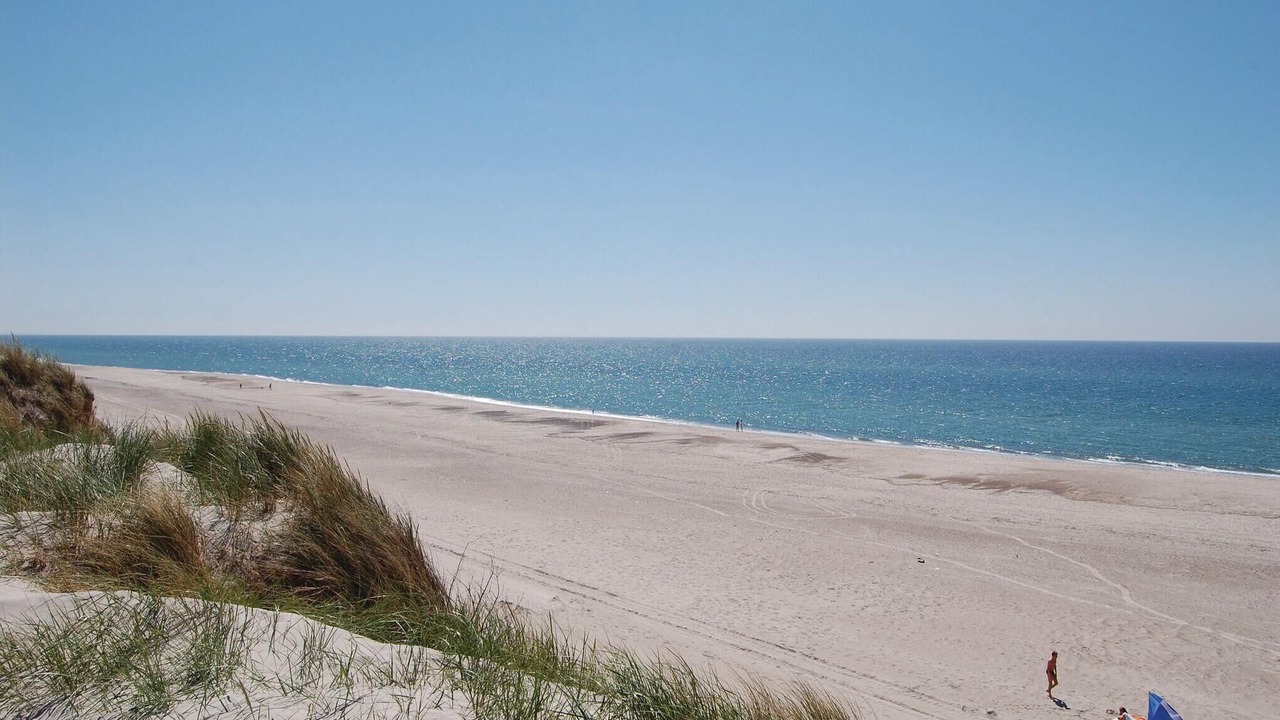 Photo of Others in Hvide Sande