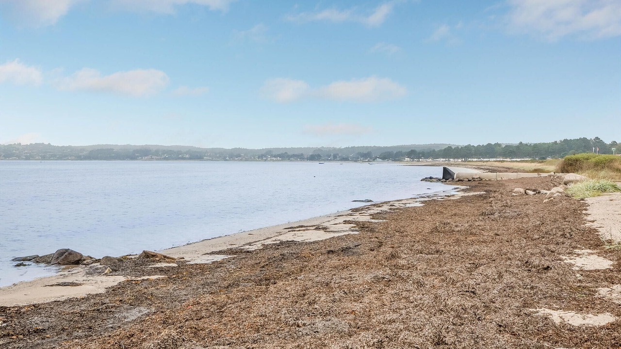 Photo of Others in Syddjurs Kommune