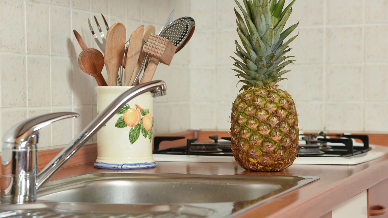 Photo of Kitchen in Poljane