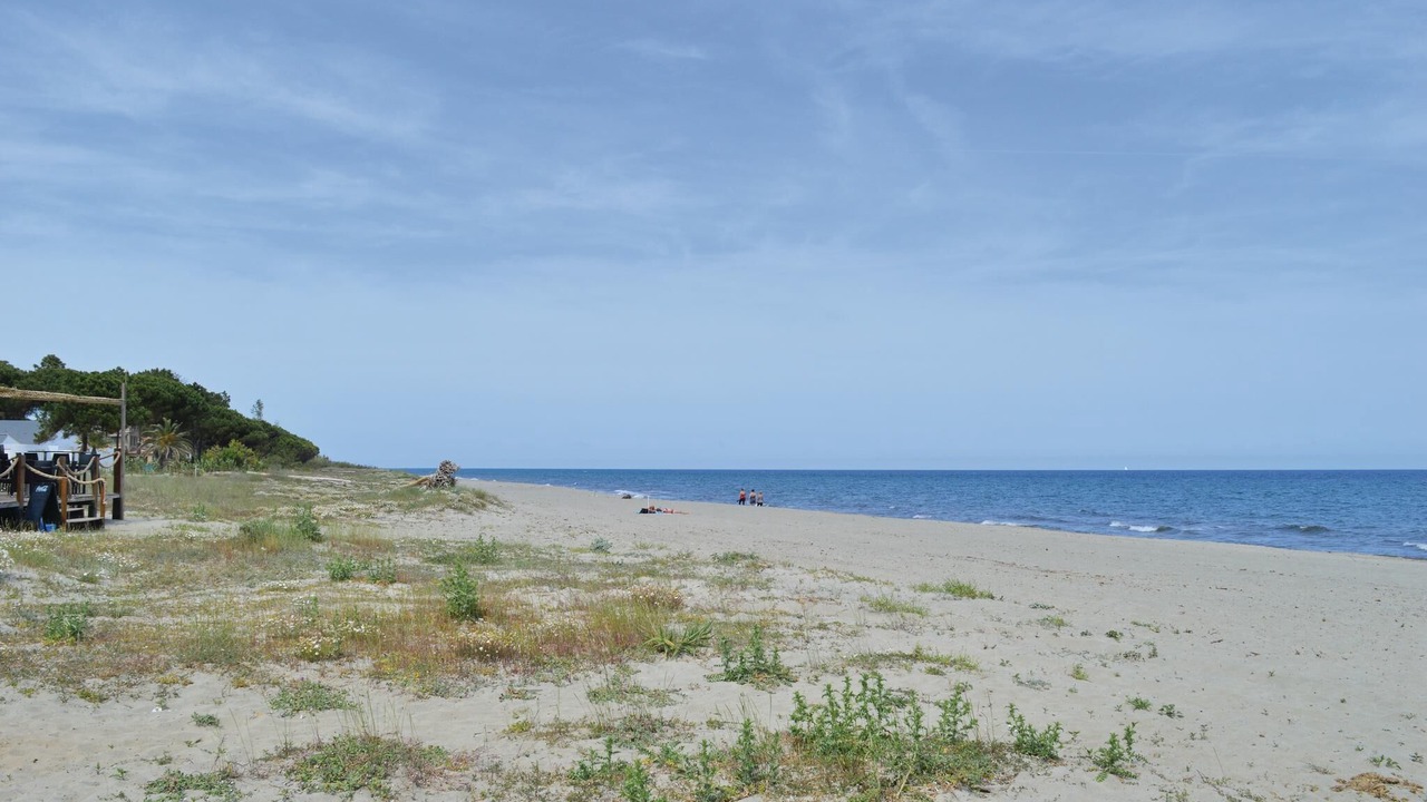 Photo of Others in Talasani