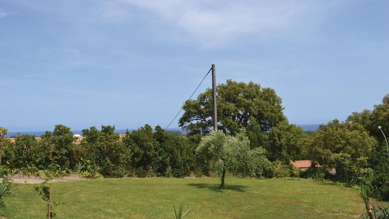 Photo of Others in Talasani