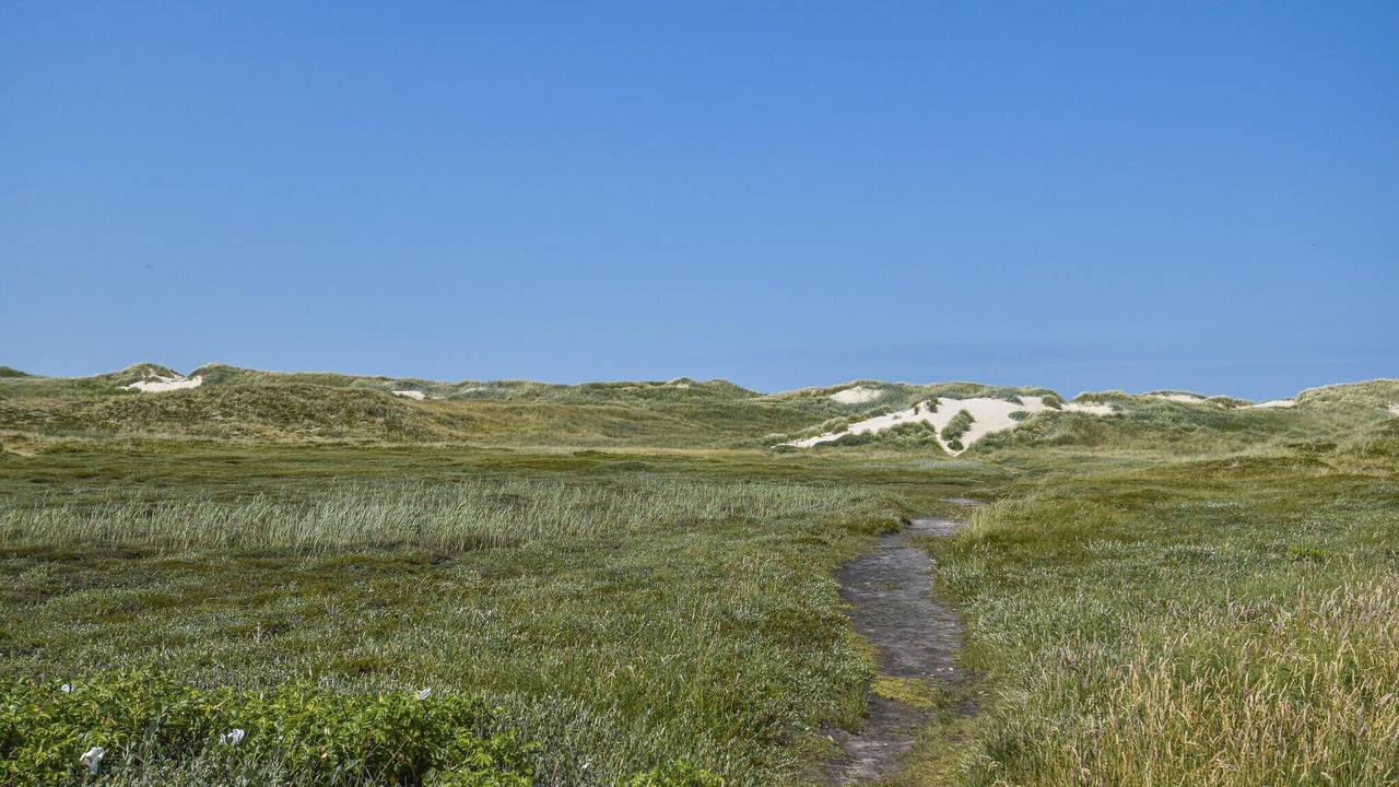 Photo of Others in Houvig Strand