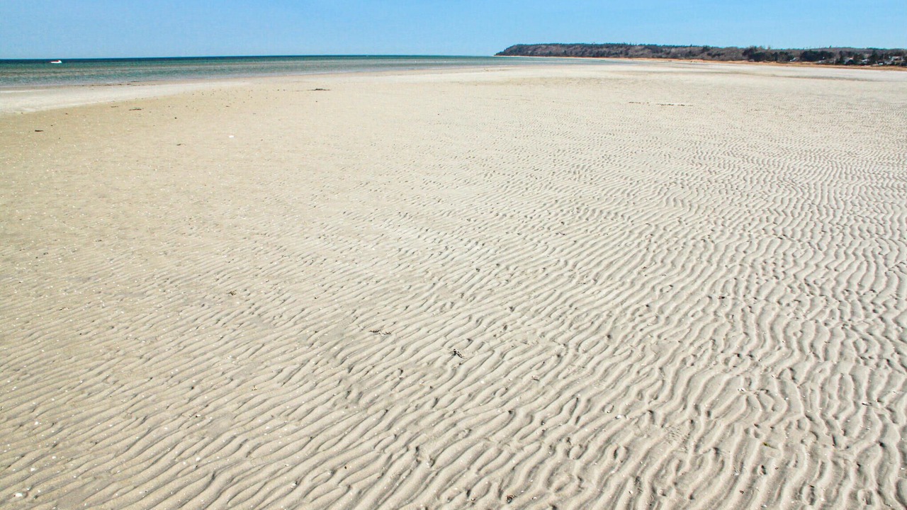 Photo of Others in Bønnerup Strand