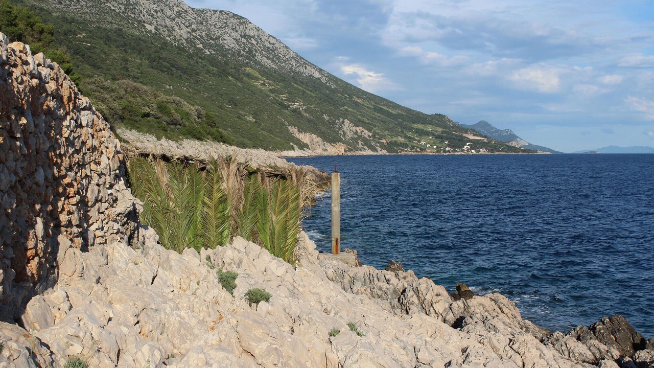 Photo of Others in Orebic