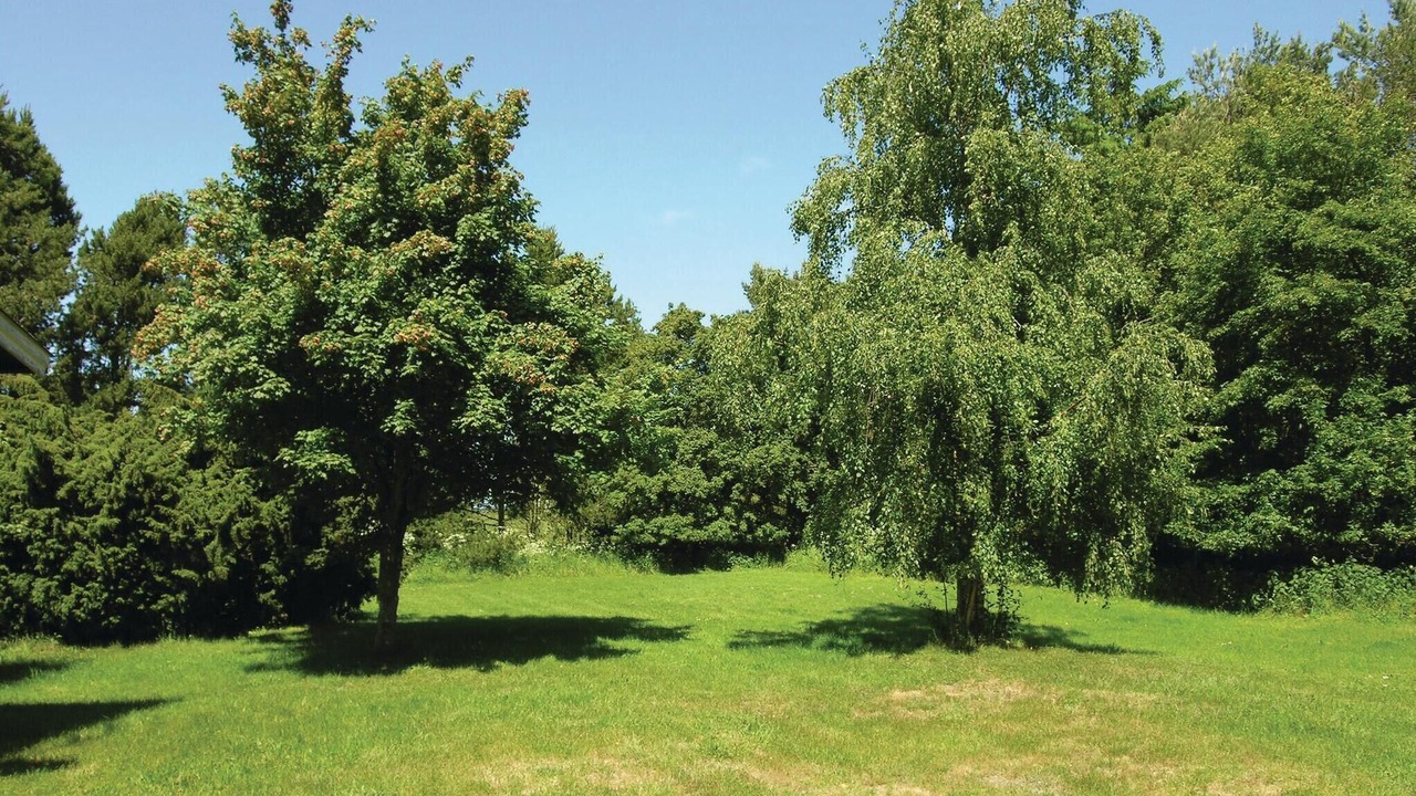 Photo of Others in Pedersker