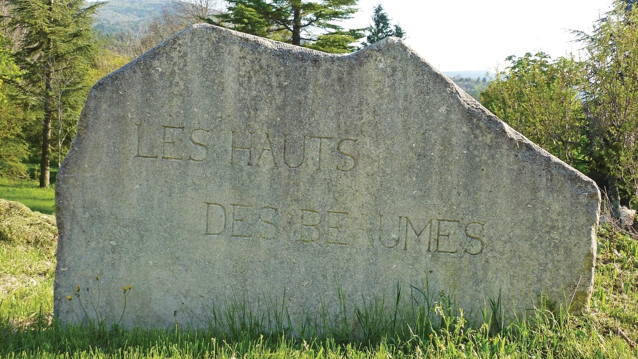 Photo of Others in Sault