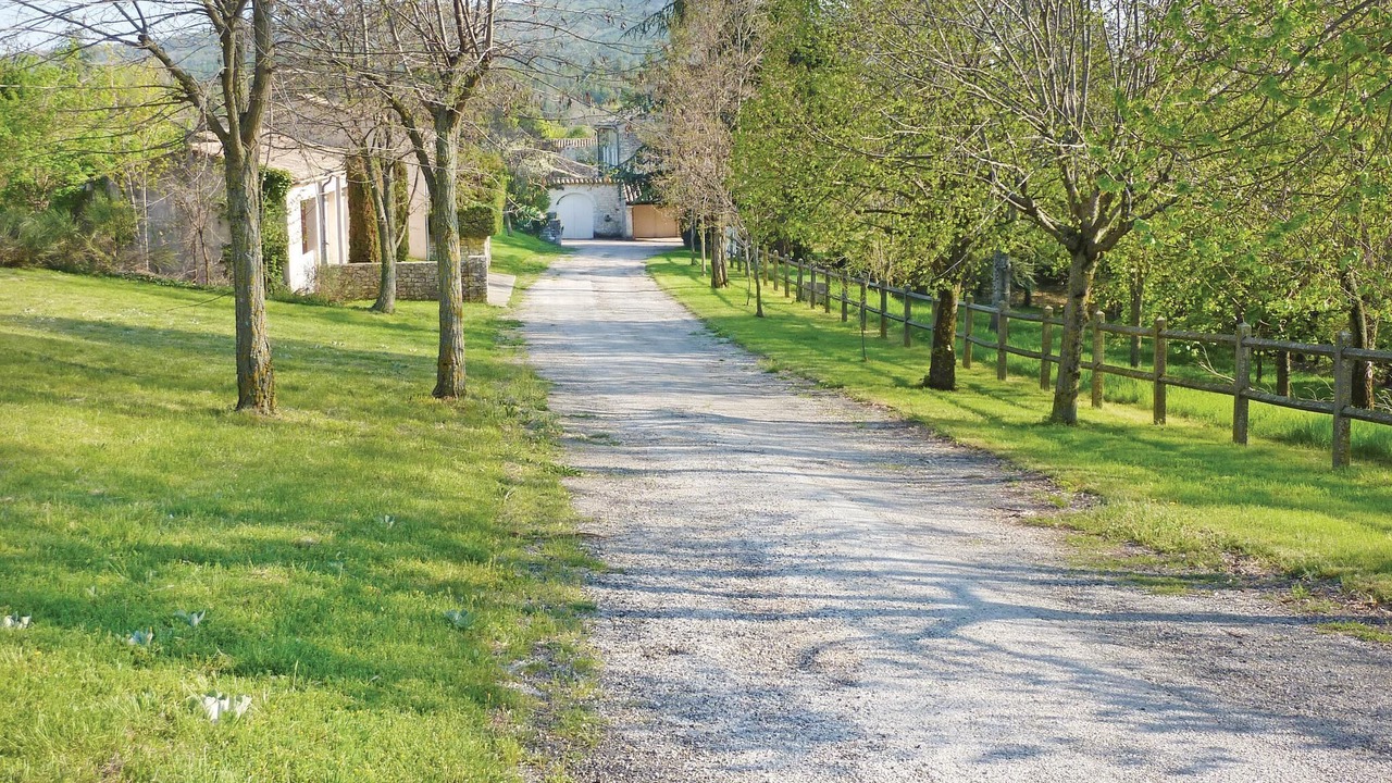 Photo of Others in Sault