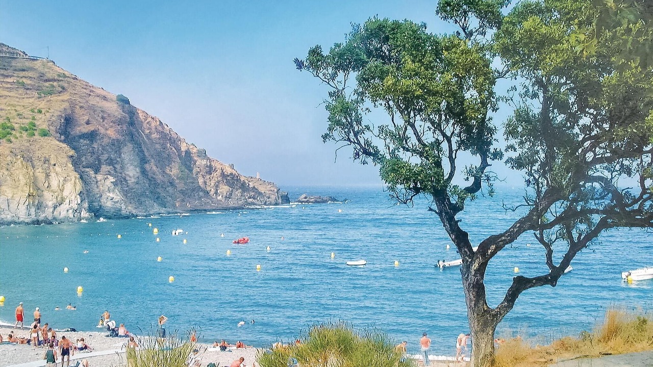 Photo of Others in Cerbere
