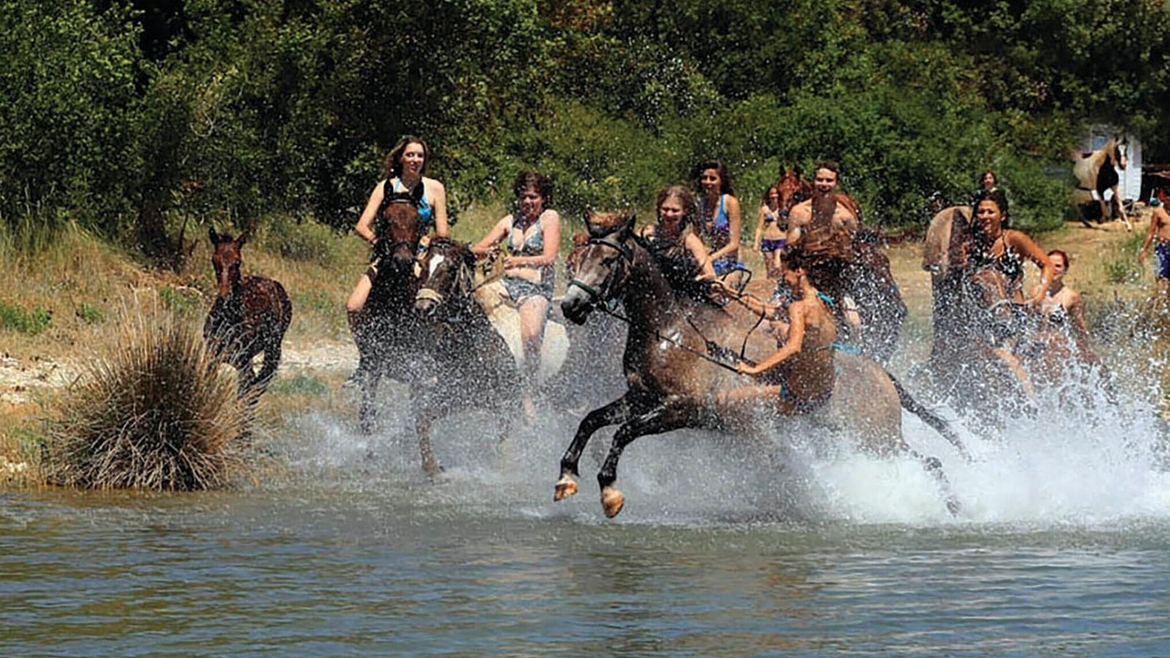 Photo of Others in Orbanici