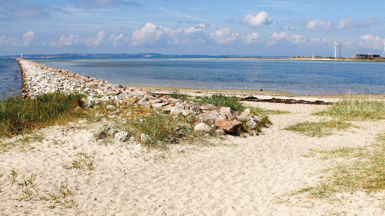 Photo of Others in Øer Strand