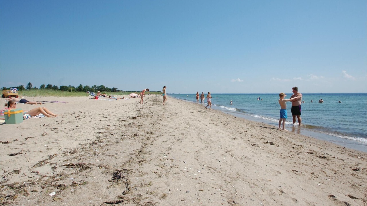 Photo of Others in Flovt Strand