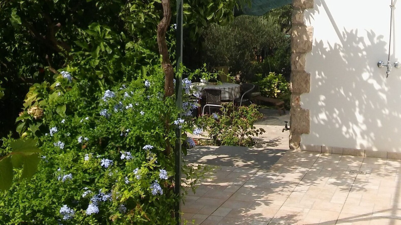 Photo of Outdoor in Milna (Brac)
