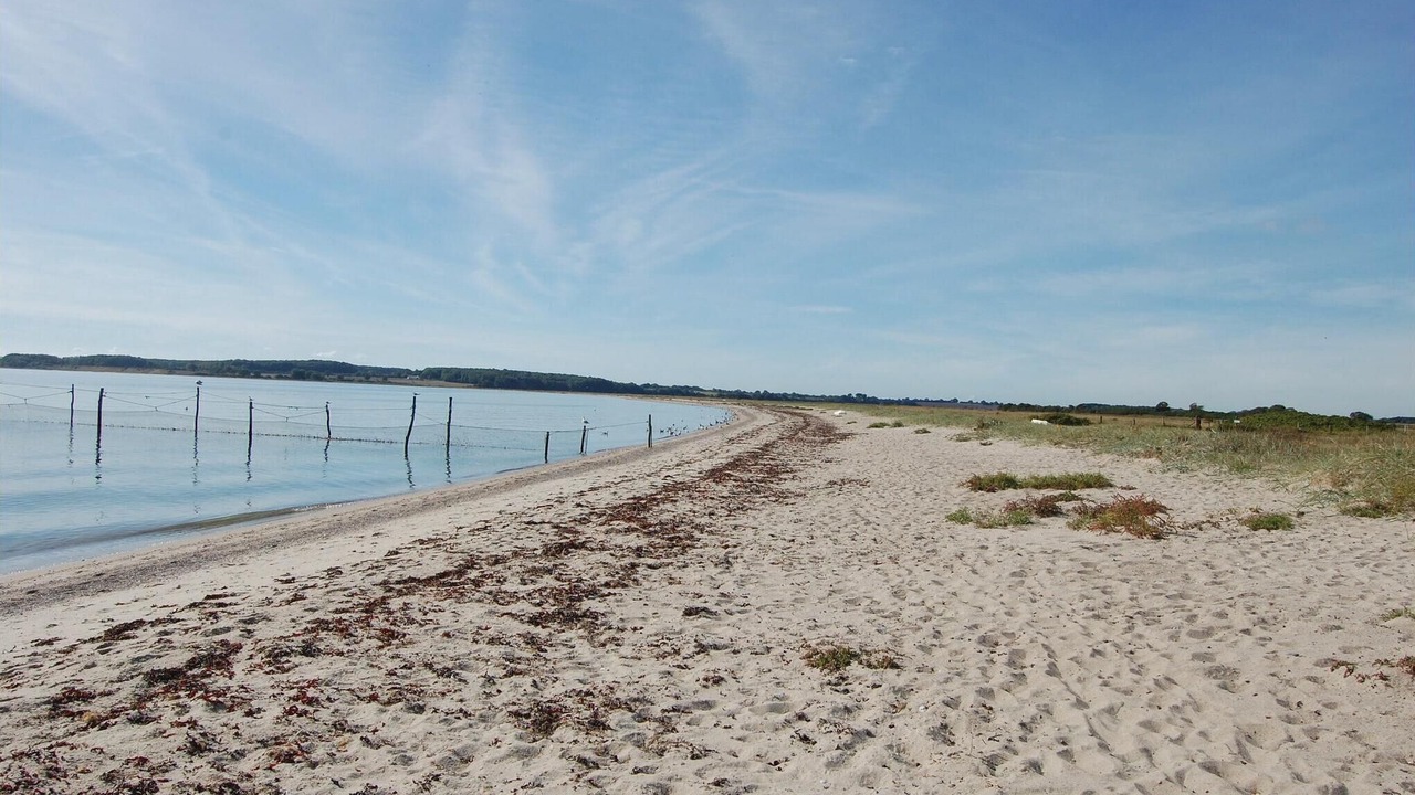 Photo of Others in Flovt Strand