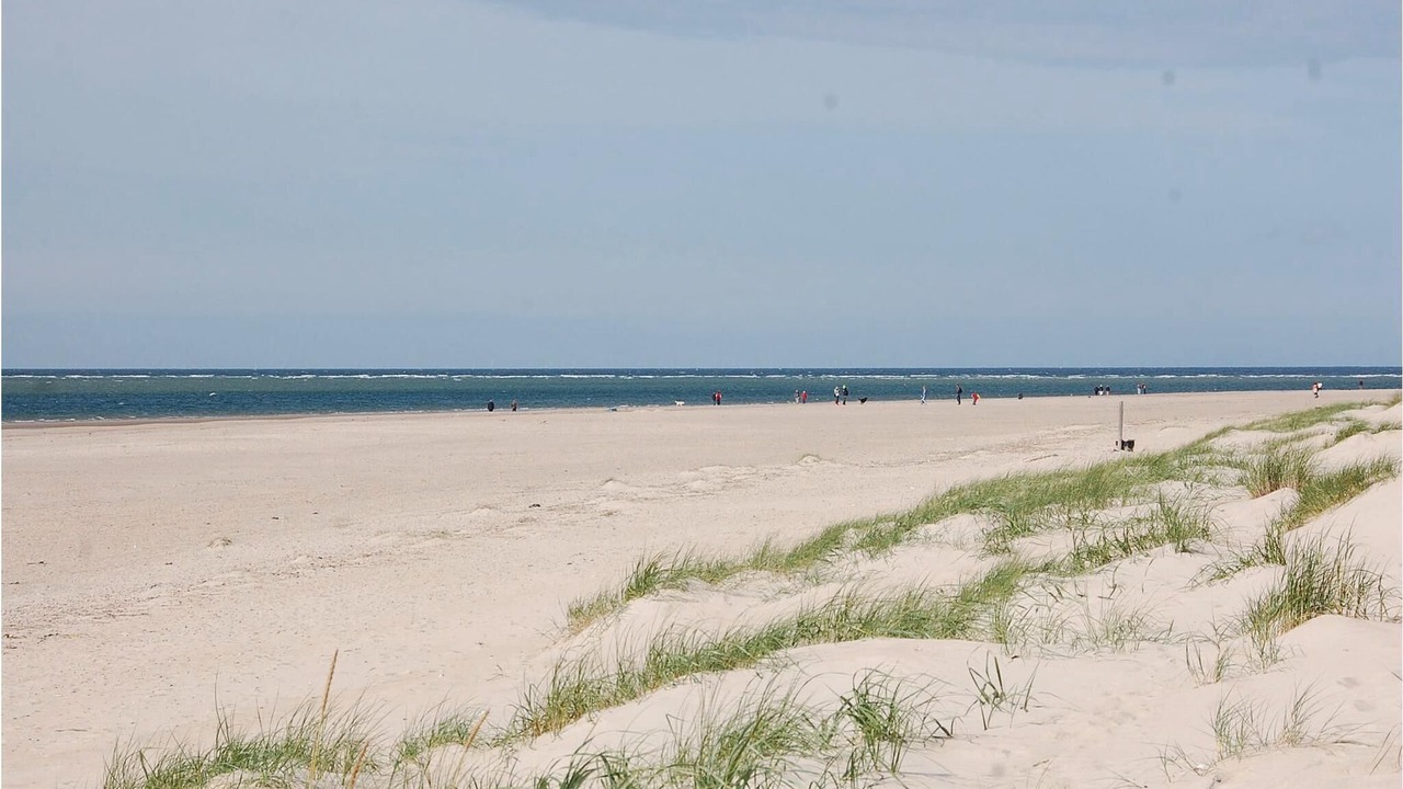 Photo of Others in Blavand Strand