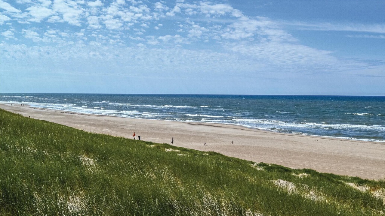 Photo of Others in Argab