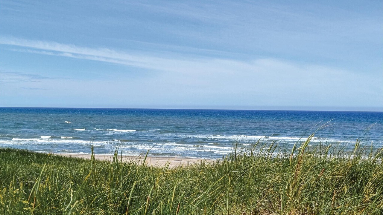 Photo of Others in Argab